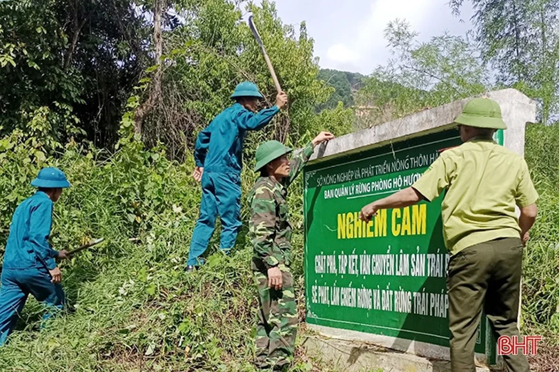 Bộ đội Hà Tĩnh chủ động, tích cực tham gia phòng chống cháy rừng
