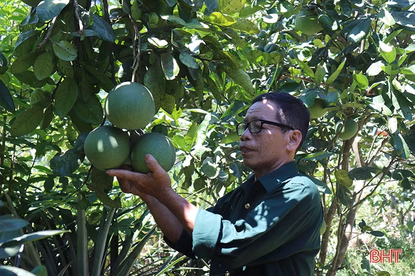 Cựu thanh niên xung phong giỏi làm kinh tế, chăm lo việc hội