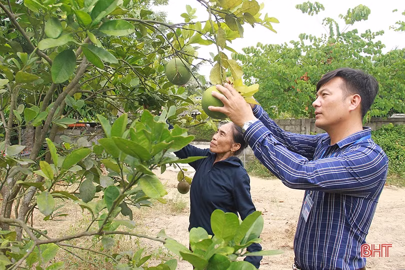 Phó chủ tịch xã ở Hà Tĩnh 30 lần hiến máu cứu người