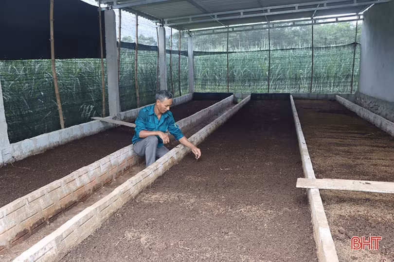 Phát hiện, ngăn chặn sử dụng xung kích điện đánh bắt giun đất