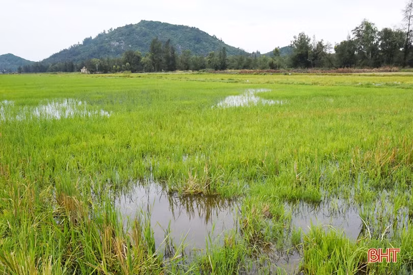 Nước sản xuất ở Thịnh Lộc: Nơi cần không có, nơi có lại không cần!