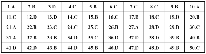 Đề và gợi ý đáp án môn Toán - Kỳ thi tốt nghiệp THPT 2022