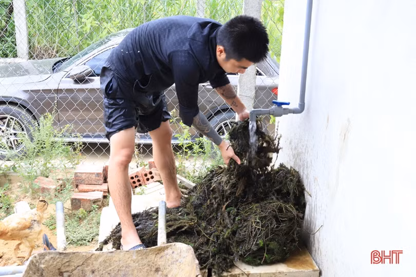 Làm nhà nuôi ốc bươu, thanh niên phố núi Hương Sơn thu lãi cao