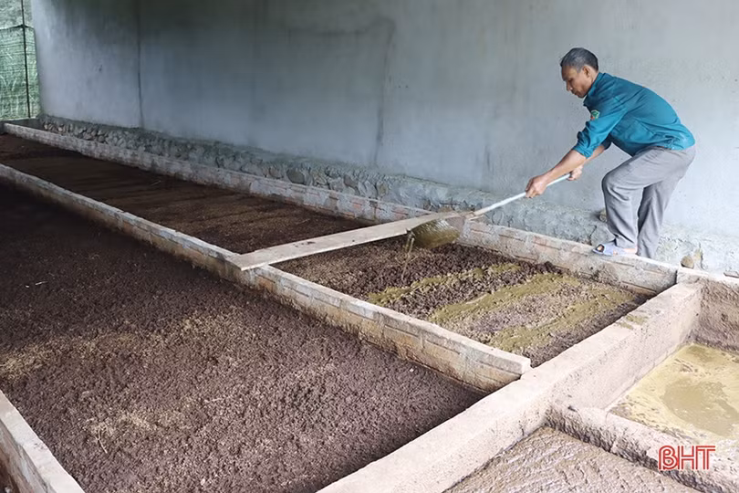 Nuôi giun quế mang lại “lợi ích kép” cho nhà nông Cẩm Xuyên