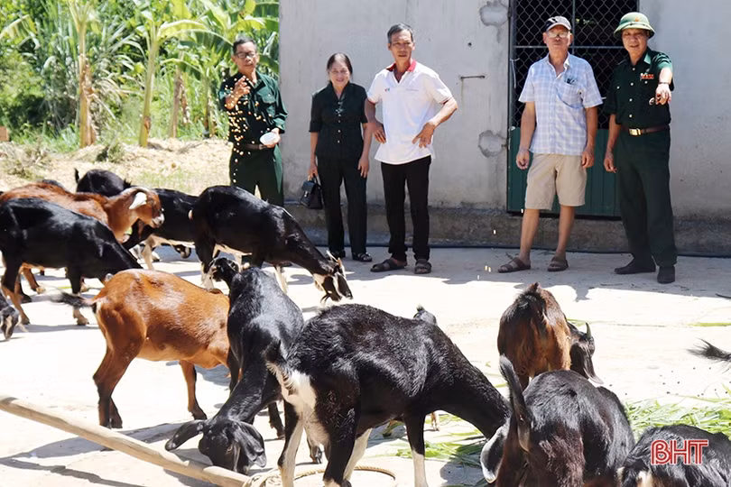 Cựu thanh niên xung phong giỏi làm kinh tế, chăm lo việc hội