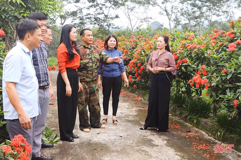 Xây dựng Đảng vững mạnh, tạo sức bật để Vũ Quang phát triển