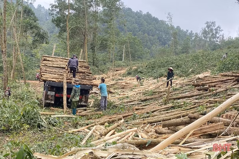 Vốn chính sách góp phần ngăn tín dụng đen, hỗ trợ giảm nghèo ở Hà Tĩnh