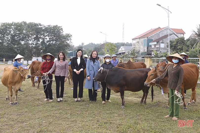 Trao 735 triệu đồng hỗ trợ mô hình sinh kế cho hội viên phụ nữ nghèo