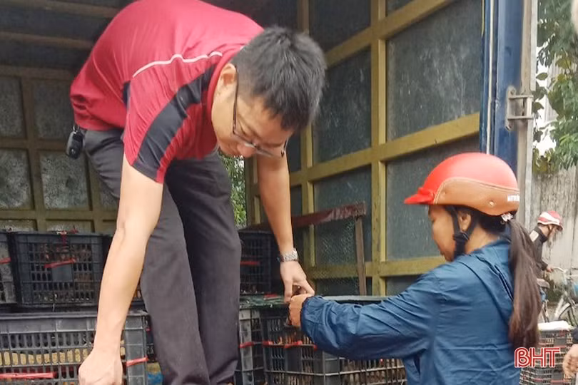 Hỗ trợ “cần câu” giúp người dân Lộc Hà thoát nghèo