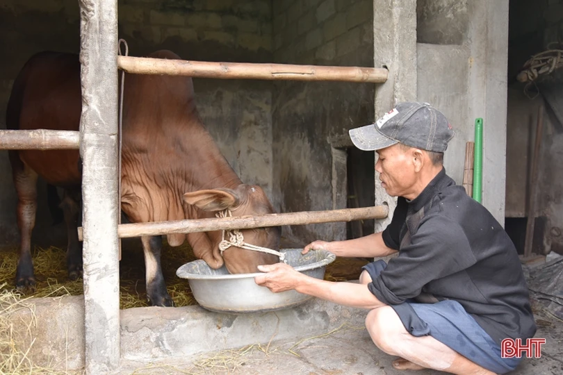 Hỗ trợ “cần câu” giúp người dân Lộc Hà thoát nghèo