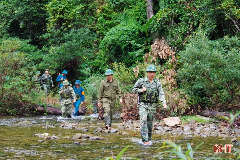 Chủ tịch UBND tỉnh chỉ đạo tăng cường quản lý, bảo vệ rừng, PCCC rừng dịp tết