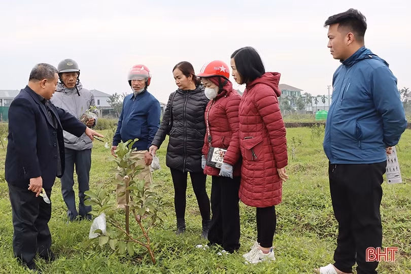 TP Hà Tĩnh hướng dẫn công nghệ sinh học trong sản xuất nông nghiệp