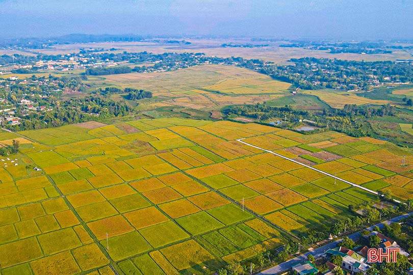 “Những con người làm sông núi sáng tươi...”