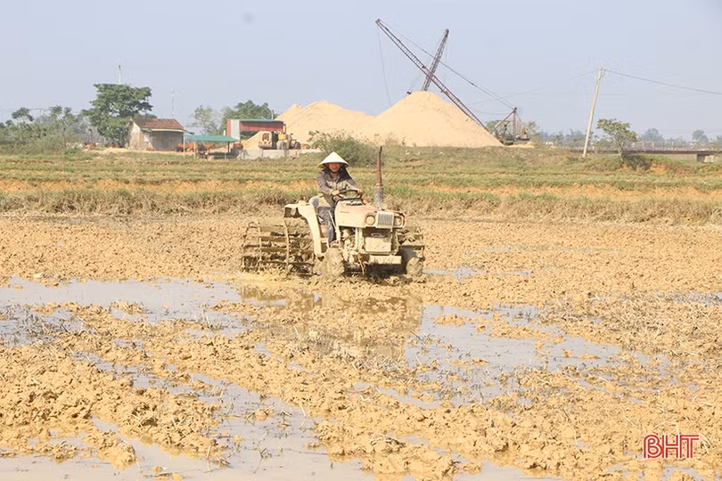 Nông nghiệp hàng hóa Hà Tĩnh - hành trình và đích đến
