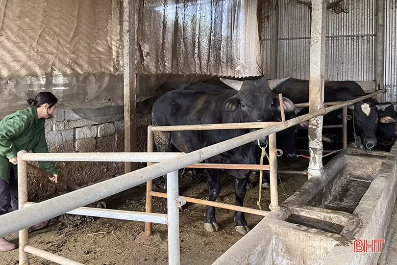 Vốn chính sách góp phần ngăn tín dụng đen, hỗ trợ giảm nghèo ở Hà Tĩnh