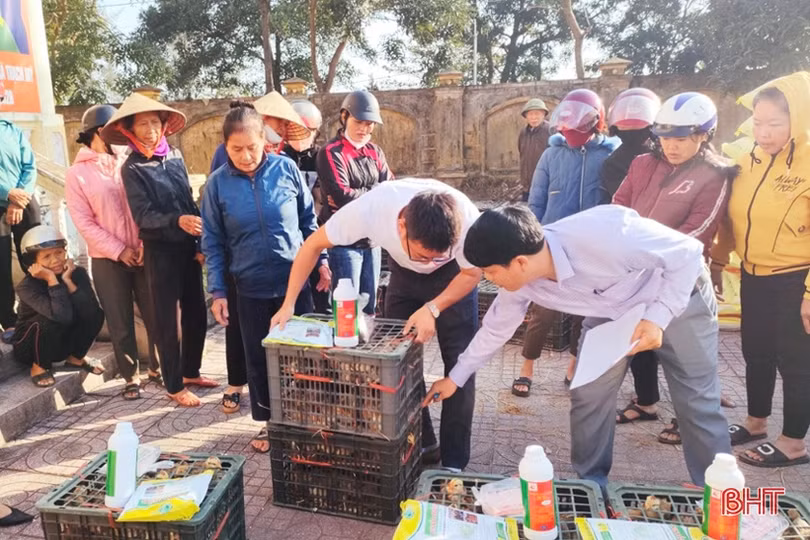 Hỗ trợ “cần câu” giúp người dân Lộc Hà thoát nghèo