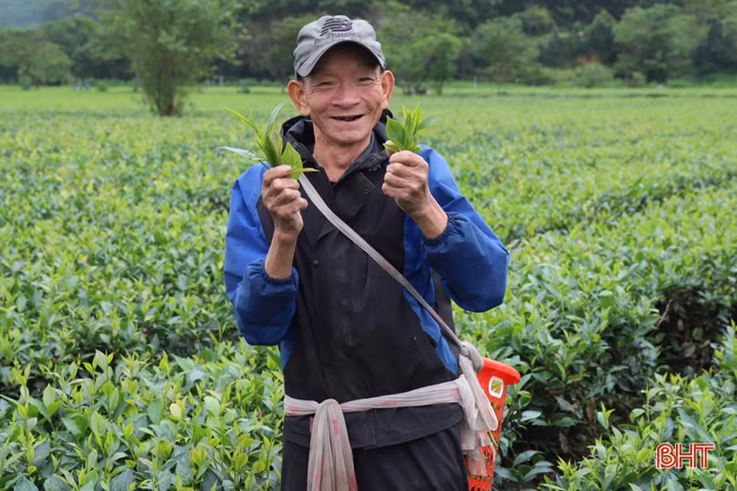 Tin mới nhất về thời tiết Hà Tĩnh dịp Tết Dương lịch