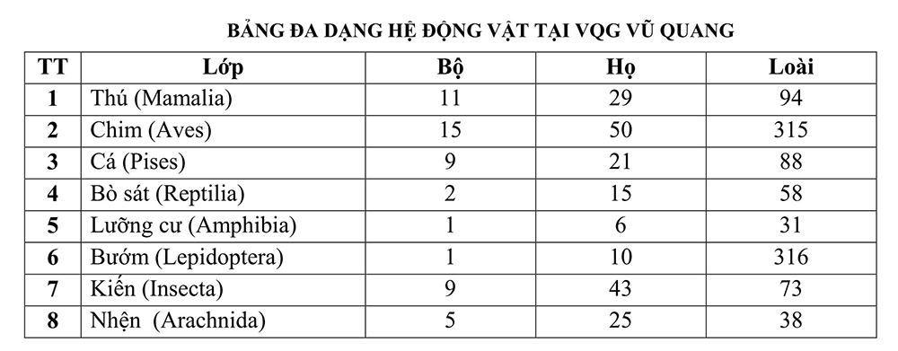Vườn quốc gia Vũ Quang - "mỏ loài mới" tại Việt Nam, trung tâm đa dạng sinh học của Châu Á ảnh 16 Vườn quốc gia Vũ Quang - “mỏ loài mới” tại Việt Nam, trung tâm đa dạng sinh học của Châu Á