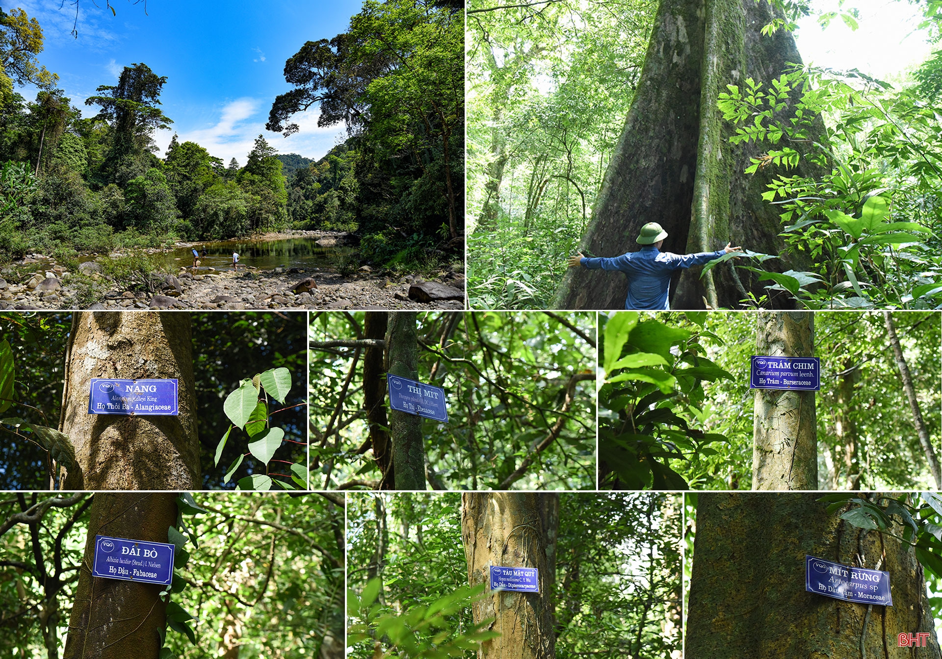Vườn quốc gia Vũ Quang - "mỏ loài mới" tại Việt Nam, trung tâm đa dạng sinh học của Châu Á ảnh 8 Vườn quốc gia Vũ Quang - “mỏ loài mới” tại Việt Nam, trung tâm đa dạng sinh học của Châu Á