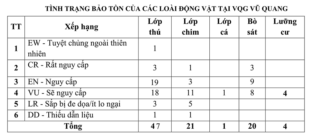 Vườn quốc gia Vũ Quang - "mỏ loài mới" tại Việt Nam, trung tâm đa dạng sinh học của Châu Á ảnh 18 Vườn quốc gia Vũ Quang - “mỏ loài mới” tại Việt Nam, trung tâm đa dạng sinh học của Châu Á