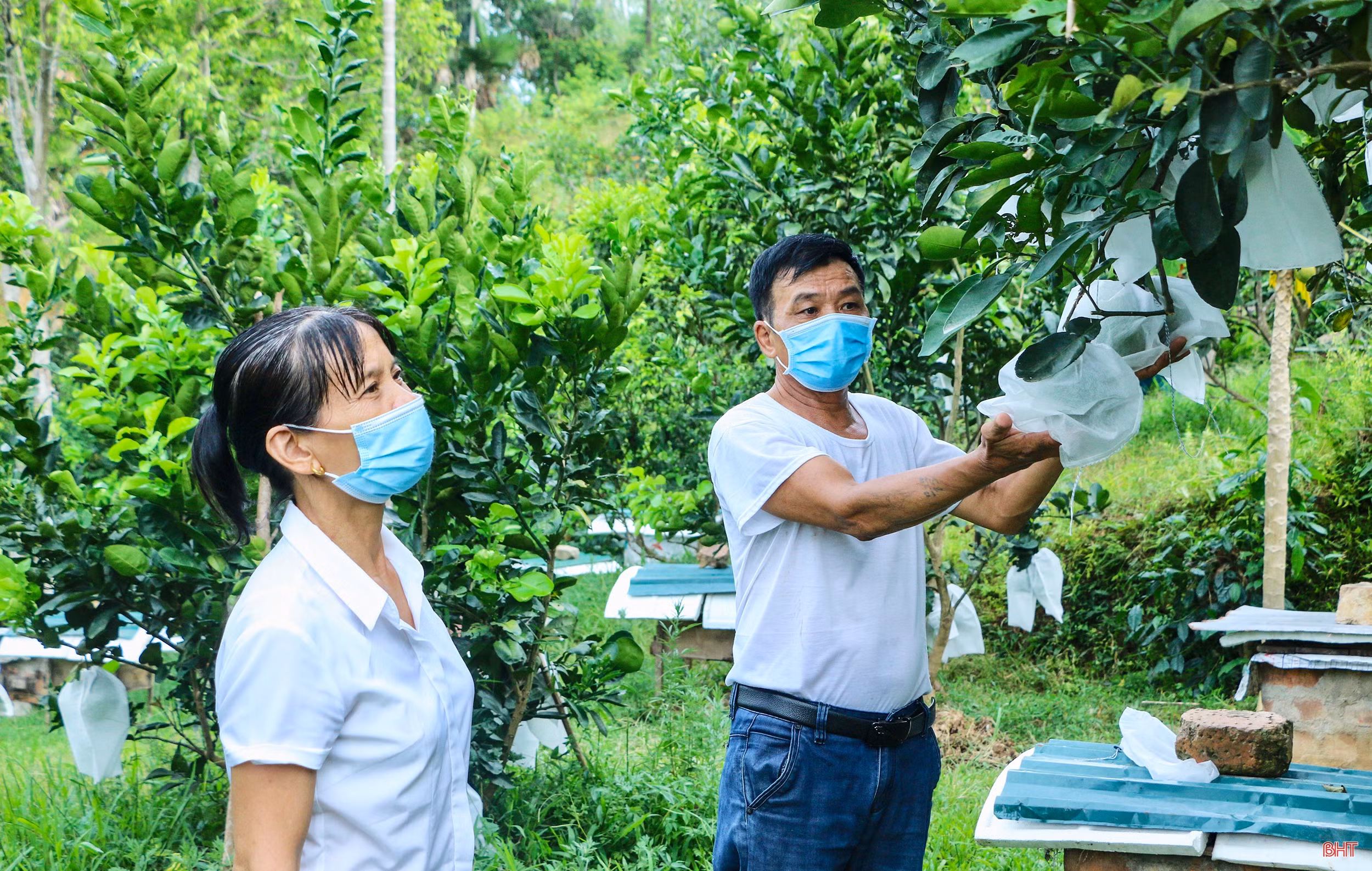 Người phụ nữ miền sơn cước Hà Tĩnh gần 20 năm “gánh” việc làng