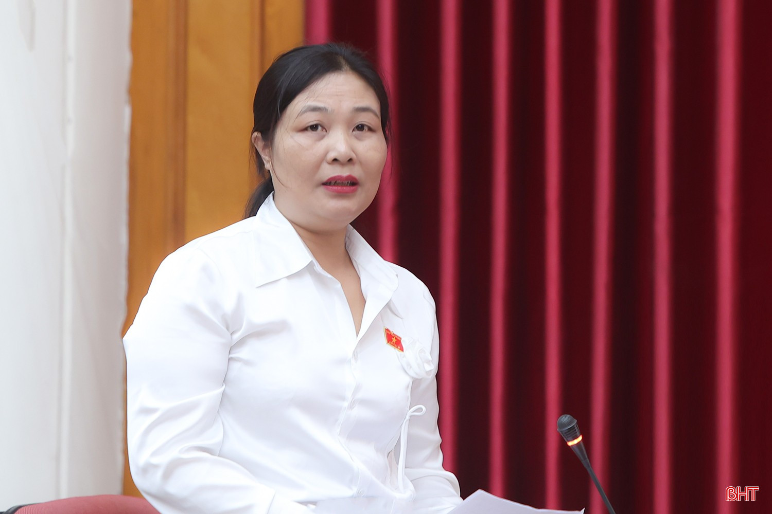 Đại biểu Võ Thị Hồng Minh bqbht_br_aimg-1781.jpg