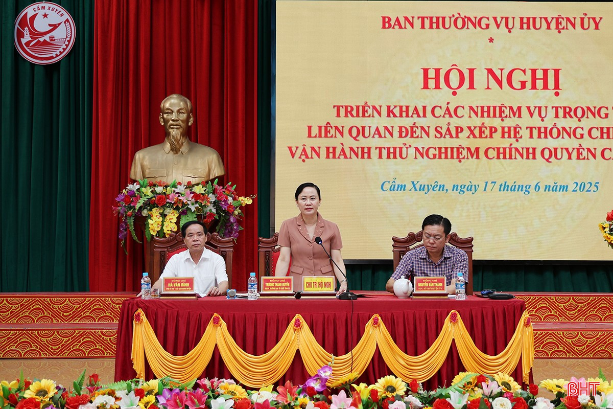 Đồng chí Trương Thanh Huyền - Trưởng ban Tổ chức Tỉnh ủy phát biểu chỉ đạo hội nghị. bqbht_br_img-2388.jpg