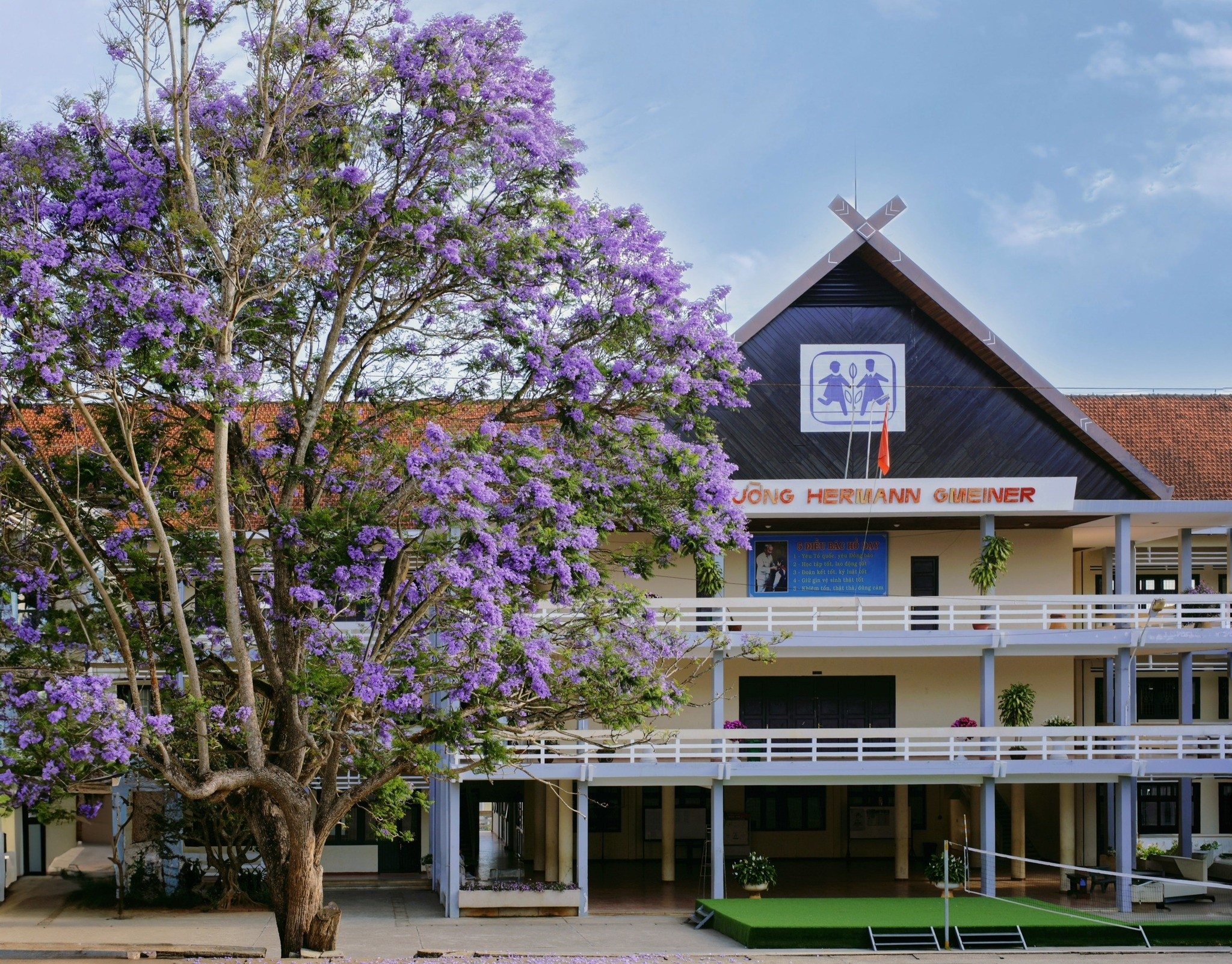Một địa điểm chụp hoa phượng tím khác cũng nổi không kém khác ở Đà Lạt là Trường Phổ thông Hermann Gmeiner (nằm trên đường Hùng Vương). Đây là cây đẹp bậc nhất "thành phố nghìn hoa" nhưng lại khá "kín tiếng" bởi du khách không dễ để tiếp cận cây. Ảnh: Sam Sam.