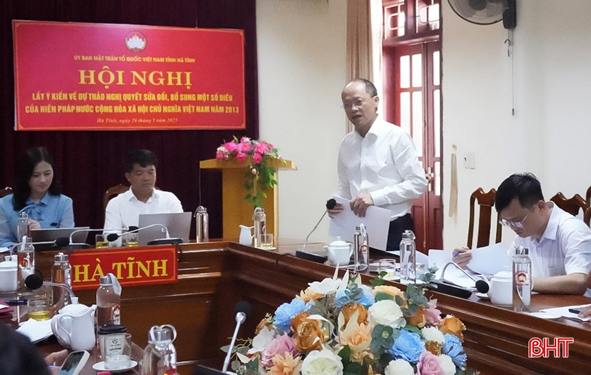 Phó Chủ tịch Thường trực UBND tỉnh Nguyễn Hồng Lĩnh góp ý dự thảo bqbht_br_anh-linh.jpg