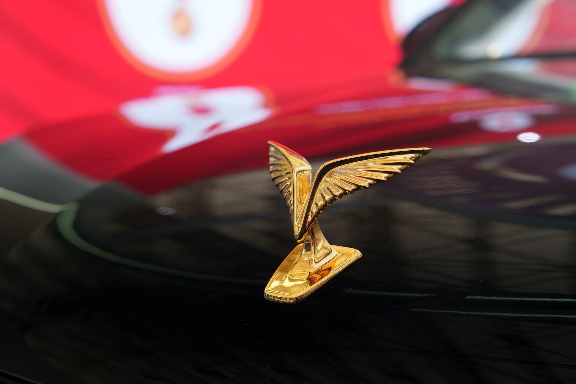 Các chi tiết ngoại thất của xe hướng đến tôn vinh nguồn cội và văn hóa truyền thống Việt Nam, chẳng hạn logo mạ vàng biểu trưng cánh chim Lạc, mặt ca-lăng gợi nhắc hình ảnh trống đồng Đông Sơn, các thanh nan xếp song song tượng trưng hàng tre Việt Nam...