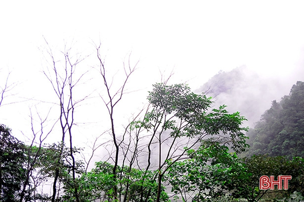 Lạc bước trên đỉnh Keo Nưa