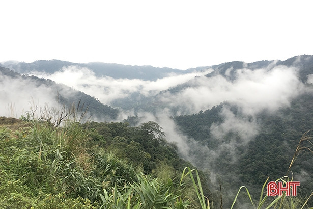 Lạc bước trên đỉnh Keo Nưa