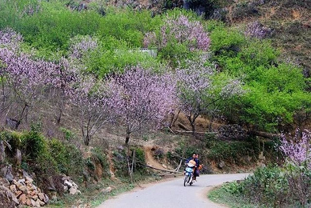 Top những điểm du lịch hấp dẫn nhất Việt Nam dịp Tết Nguyên đán 2019