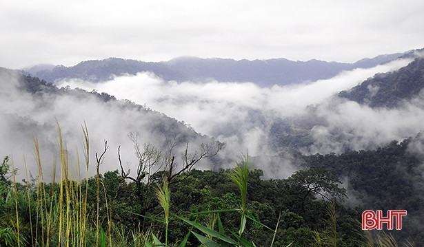 Lạc bước trên đỉnh Keo Nưa