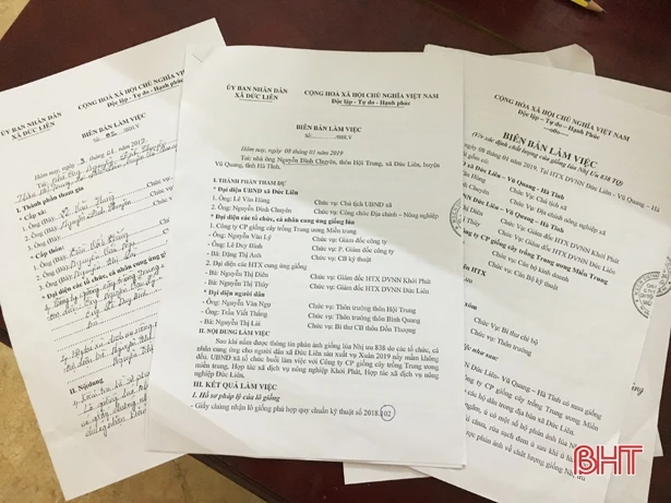 6 mẫu giống Nhị ưu 838 cung ứng ở Hà Tĩnh phù hợp quy chuẩn kỹ thuật