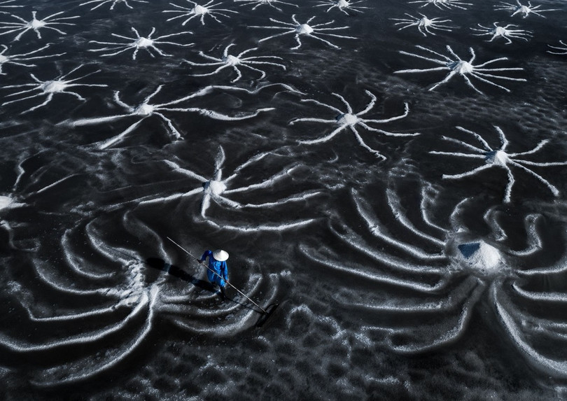 Nat Geo tán dương bức ảnh những “bông hoa” muối trên cánh đồng ở Việt Nam