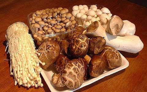 Những món ăn quen thuộc của người Việt thành "thuốc độc" khi đun lại ảnh 4 Những món ăn quen thuộc của người Việt thành “thuốc độc” khi đun lại