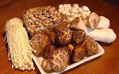 Những món ăn quen thuộc của người Việt thành “thuốc độc” khi đun lại