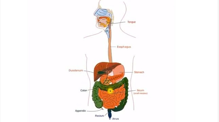 Những tiến bộ công nghệ đáng nể về y tế trong năm qua