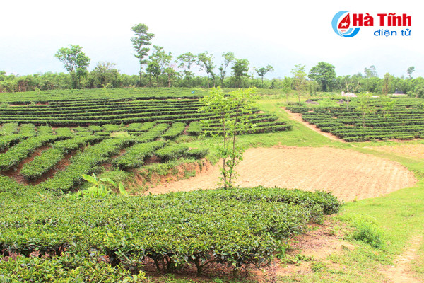 ha tinh san xuat thep dong gop hon 73 tong kim ngach xuat khau
