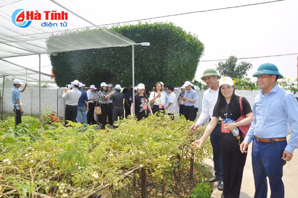 dai bieu ca nuoc an tuong voi nhung kdc kieu mau vuon mau ha tinh