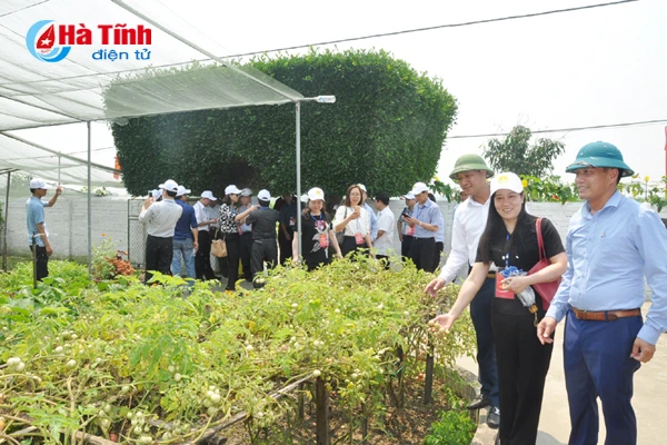 dai bieu ca nuoc an tuong voi nhung kdc kieu mau vuon mau ha tinh