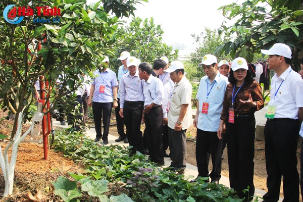 dai bieu ca nuoc an tuong voi nhung kdc kieu mau vuon mau ha tinh