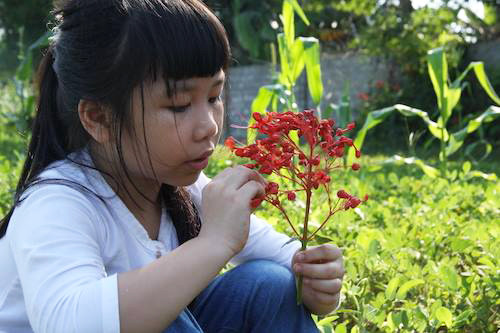 bai van viet ve bo dat diem 10 cua co be lop 5