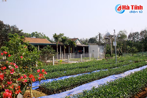 Khu dân cư kiểu mẫu, vườn mẫu (Bài 3:) Đến Hà Tĩnh, xem những “kỹ sư chân đất” làm vườn mẫu