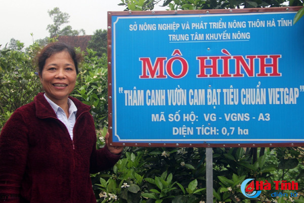 nu can bo y te xa bien 6 000m2 vuon tap thanh trai cay vietgap