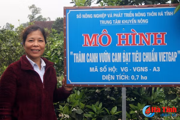 nu can bo y te xa bien 6 000m2 vuon tap thanh trai cay vietgap