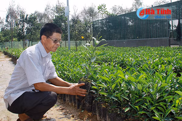 Khu dân cư kiểu mẫu, vườn mẫu (Bài 3:) Đến Hà Tĩnh, xem những “kỹ sư chân đất” làm vườn mẫu