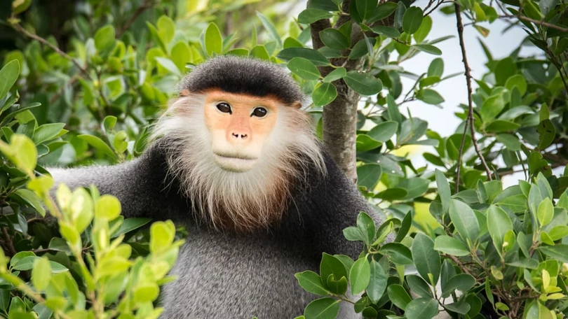 30 diem den dep nhat viet nam theo binh chon cua cnn