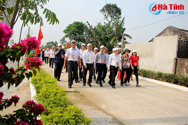 dai bieu ca nuoc an tuong voi nhung kdc kieu mau vuon mau ha tinh